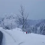 Schneekopf By Interhome Gehlberg