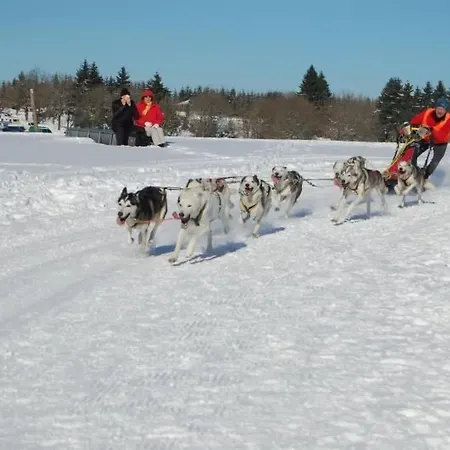 Schneekopf By Interhome Appartement *