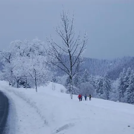 Schneekopf By Interhome Gehlberg