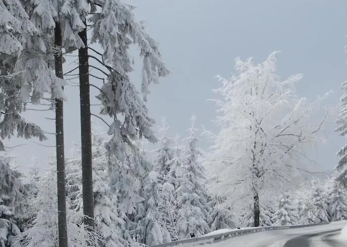 Appartement Schneekopf By Interhome Gehlberg