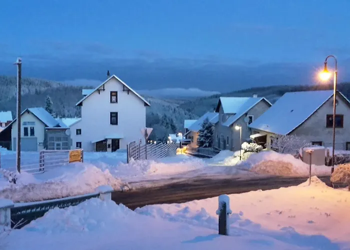 Schneekopf By Interhome Appartement *